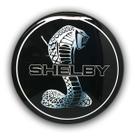 Luminoso de Parede SHELBY Decorativo Bar Garagem - Lâmpada LED Bivolt