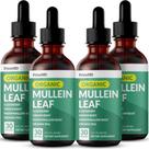 Lung Support Drops PrimeMD Mullein com sabugueiro, 120 ml, pacote com 4