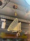 Lustre Borboleta Mini De Teto Design Criativo Luz Led