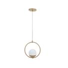Lustre Pendente com Estrutura Circular