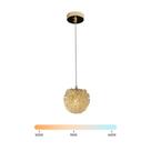 Lustre Pendente LED 3W Globo Lichia Vidro G9 Multicor Bivolt