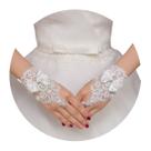 Luva Noiva Debutante Casamento De Renda Linda 1 Par 2949