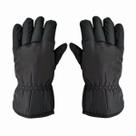 Luva Térmica Nylon Impermeável Frio Extremo Antiderrapante Masculina CK816M Asatex