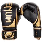 Luvas de boxe Venum Challenger 2.0 12oz pretas/douradas