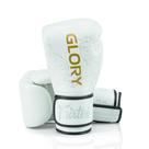 Luvas de Kickboxing Fairtex Glory - Edição Limitada BGVG3