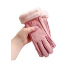 Luvas Femininas De Inverno Quentes E Grossas De Pelúcia Com Toque De Camurça Para Uso Externo,