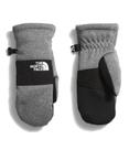 Luvas para crianças THE NORTH FACE Sierra Etip TNF cinza médio L