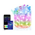 Luz De Cordão LED RGB Com Controle Remoto Por Aplicativo WS2812B Smart IC Endereçável Dreamcolor