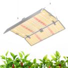 Luz de Cultivo Barrina BU2000 816 LEDs Espectro Completo 200W