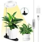 Luz de cultivo de plantas LORDEM, luminária de mesa Halo de espectro completo, altura ajustável de 7,8"-26", lâmpada LED de cultivo, temporizador automático 4H/8H/12H, regulável em 4 níveis, ideal para plantas de interior, branca, 1 pacote