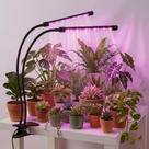 Luz de cultivo H HNMA HN de 2 cabeças com clipe e LED de espectro completo