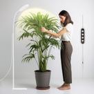 Luz de cultivo interna GLOWRIUM LED de espectro total de 20 W com suporte