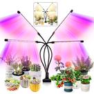 Luz de Cultivo LEOTER 80 LEDs Espectro Completo Temporizador 3 Modos