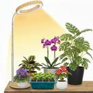 Luz de cultivo MUSELUCE ajustável de espectro completo LED 30 cm-110 cm