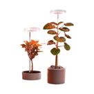 Luz De Cultivo Para Plantas Com 48 LEDs De Espectro Completo, Pequena, Com Timer De 3/9/12H Para Luz De Cultivo Para Plantas Com 48 LEDs De Espectro Completo, Pequena, Com Timer De 3/9/12H Para