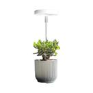Luz De Cultivo Para Plantas Com 48 LEDs De Espectro Completo, Pequena, Com Timer De 3/9/12H Para