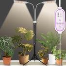 Luz de Cultivo Secefeao 210 LEDs de Espectro Completo com Timer