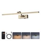 Luz de imagem BRIVOLART 60 cm Antique Bronze Wireless 10000mAh