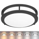 Luz de teto Faymart 10" Matt Black LED 17W ETL Luz de teto Faymart 10" Matt Black LED 17W ETL