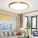 Luz de teto LED NELTBESIN 30cm 24W 5000K 110-240V Gold