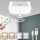 Luz de teto recarregável com sensor de movimento WhitePoplar 500LM