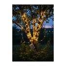 Luz Fio Fada 10m 100 Leds Branco Quente Decoração