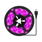 Luz LED Para Crescimento De Plantas, Espectro Completo, Fita USB Com 60 LEDs, 1M 2M 3M, Sistema