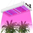 Luz LED para cultivo de plantas SERWING B1000W regulável de espectro completo