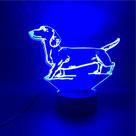 Luz noturna LED 3D que muda de cor para cães e animais para crianças
