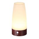 Luz Noturna ZEEFO com Sensor de Movimento PIR, Funciona com Pilhas Luz Noturna ZEEFO com Sensor de Movimento PIR, Funciona com Pilhas