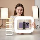 Luz Ring Led Profissional Estabilizador De Celular Portátil