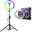 Luz Ring Light Profissional RGB Foto Video Masculino Em Estoque