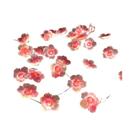 Luzes De Fada Em Forma De Flor De Cerejeira Rosa Com 30 LEDs, Alimentadas Por Bateria, Lâmpadas