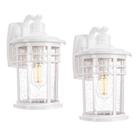 Luzes de parede externas Darkaway 15" Porch Seed-Glass, pacote com 2