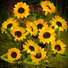 Luzes Solares de Girassol para Jardim 4 Unidades ILLUMINEW 15 cm LED