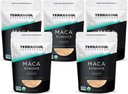Maca em pó Terrasoul Superfoods Gelatinizada Orgânica 2,27 kg Maca em pó Terrasoul Superfoods Gelatinizada Orgânica 2,27 kg