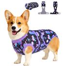 Macacão de recuperação cirúrgica para cães PetWarm Roxo Cosmic L Macacão de recuperação cirúrgica para cães PetWarm Roxo Cosmic L