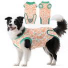 Macacão de Recuperação para Cães, Alternativa Macia ao Cone, Pós-Operatório, XL