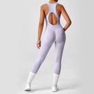 Macacão Fitness Feminino Sem Costura Com Controle De Abdômen E Efeito Bumbum De Pêssego, Modelo Macacão Fitness Feminino Sem Costura Com Controle De Abdômen E Efeito Bumbum De Pêssego, Modelo
