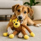 Macaco Mordedor Bola Guia Treina Adestra Dente Brinquedo Pet Cachorro Gato Ossinho Ursinho Macaco Mordedor Bola Guia Treina Adestra Dente Brinquedo Pet Cachorro Gato Ossinho Ursinho