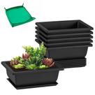 Macetas de Entrenamiento para Bonsái GROWNEER 6 Unidades 16.5 cm con Bandeja y Tapete