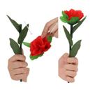 Magic Trick Flower Rebirth Illusion Rose Romantic Prop