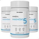 Magnésio 5x1 Malato Quelato Taurato Ascorbato Óxido 180 Caps