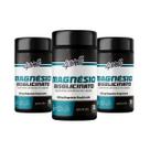 Magnésio Bisglicinato 4well 260mg - 60 cápsulas - Combo 3 potes