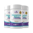 Magnésio Dimagnésio Malato Bisglicinato 500mg 3x 120 Cápsula