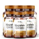 Magnésio Quelato 420mg 60 Cápsulas Alta Absorção e Bem-Estar Diário - 6 potes