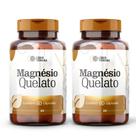 Magnesio Quelato 420mg Alta Absorcao - Suplemento Mineral para Vitalidade e Foco - 2 Potes