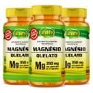 Magnésio quelato bisglicinato de magnesio 60 caps unilife kit 3
