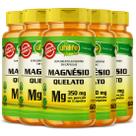 Magnésio quelato bisglicinato de magnesio 60 caps unilife kit 5