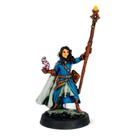 Mago Elfo - Ellidan - Miniatura pintada - RPG